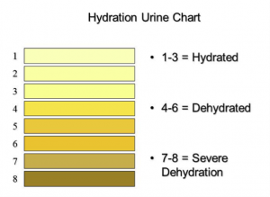 Hydration urine chart